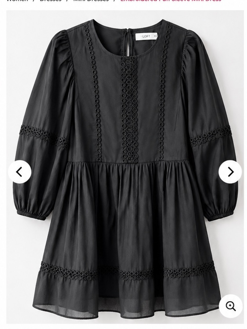 Tulle Black Embroidered Puff Sleeve Mini Dress
